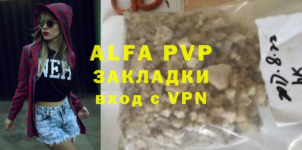 дмт Касимов