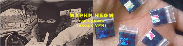 дмт Касимов