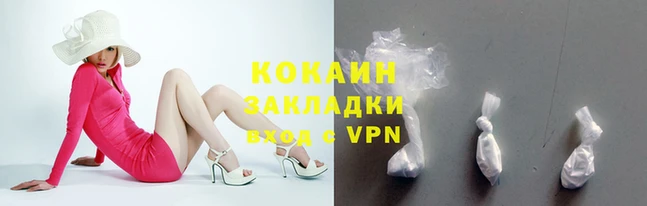 дмт Касимов