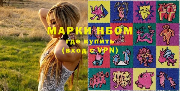 дмт Касимов