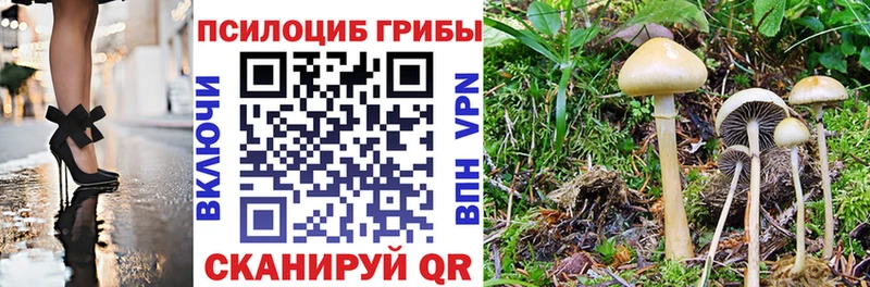 Псилоцибиновые грибы ЛСД  Купить  Киреевск 